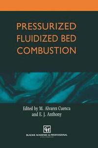 bokomslag Pressurized Fluidized Bed Combustion