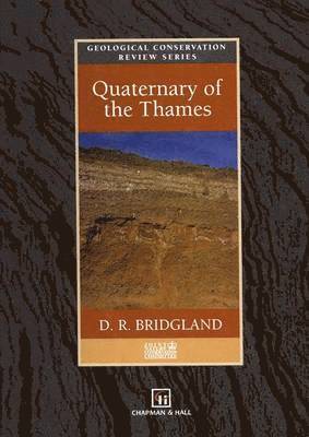 bokomslag Quaternary of the Thames