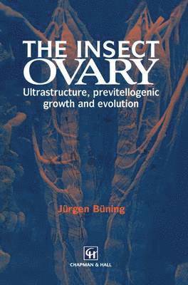 bokomslag Insect Ovary