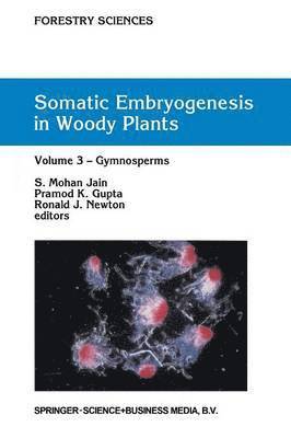 bokomslag Somatic Embryogenesis in Woody Plants