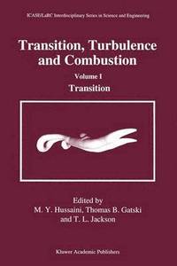 bokomslag Transition, Turbulence and Combustion