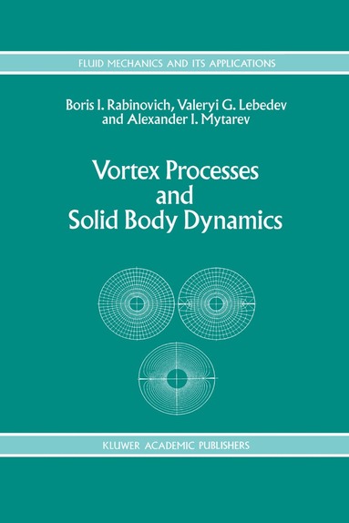 B. Rabinovich, A.I. Lebedev, A.I. Mytarev - Vortex Processes and Solid Body Dynamics, Häftad