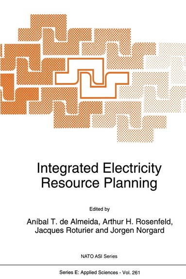 A. de Almeida, Arthur H. Rosenfeld, Jacques Roturier, Jorgen Norgard - Integrated Electricity Resource Planning, Häftad