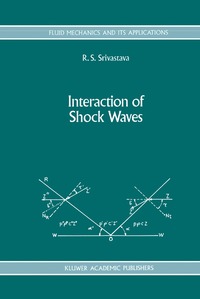 bokomslag Interaction of Shock Waves