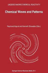 bokomslag Chemical Waves and Patterns
