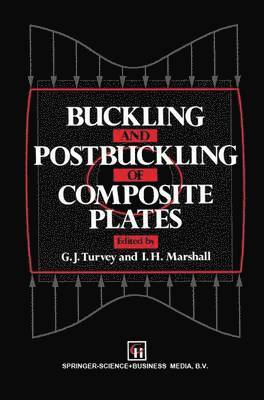 bokomslag Buckling and Postbuckling of Composite Plates