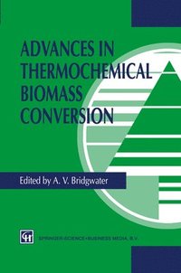 bokomslag Advances in Thermochemical Biomass Conversion