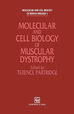 bokomslag Molecular and Cell Biology of Muscular Dystrophy
