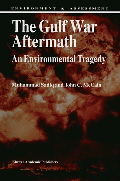 M. Sadiq, J.C. McCain, M. Sadiq, J.C. McCain - Gulf War Aftermath, Häftad
