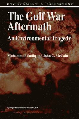 bokomslag Gulf War Aftermath