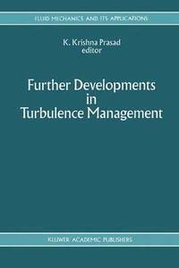 bokomslag Further Developments in Turbulence Management