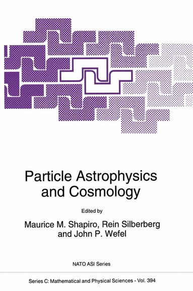 M.M. Shapiro, Rein Silberberg, John P. Wefel - Particle Astrophysics and Cosmology, Häftad