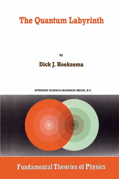 D.J. Hoekzema - Quantum Labyrinth, Häftad