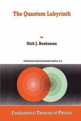 D.J. Hoekzema, D. J. Hoekzema - Quantum Labyrinth, Häftad