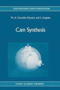 bokomslag Cam Synthesis