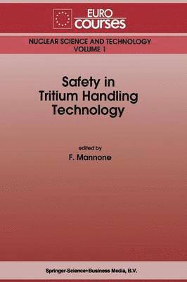 bokomslag Safety in Tritium Handling Technology