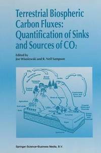 bokomslag Terrestrial Biospheric Carbon Fluxes Quantification of Sinks and Sources of CO2