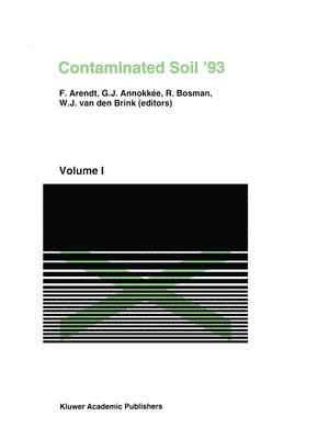 bokomslag Contaminated Soil93