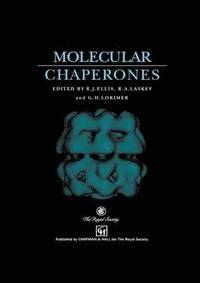 bokomslag Molecular Chaperones