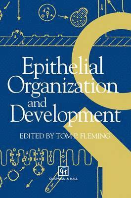 Epithelial Organization and Development 1