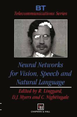 Neural Networks for Vision, Speech and Natural Language 1