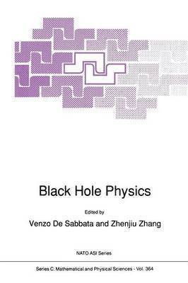 bokomslag Black Hole Physics