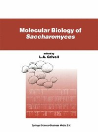 bokomslag Molecular Biology of Saccharomyces