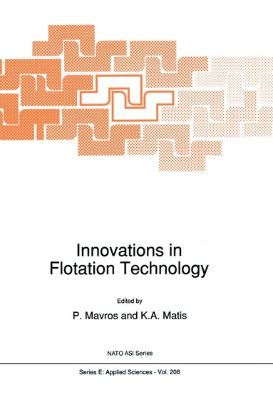 P. Mavros, Kostas A. Matis - Innovations in Flotation Technology, Häftad