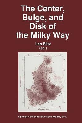 The Center, Bulge, and Disk of the Milky Way 1