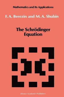 bokomslag Schrödinger Equation