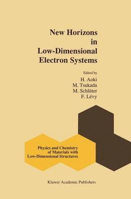 bokomslag New Horizons in Low-Dimensional Electron Systems