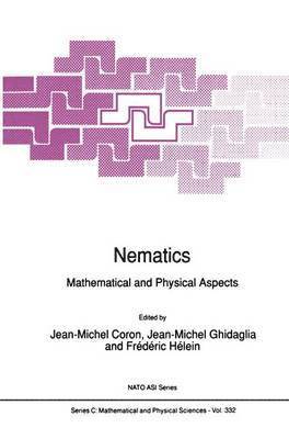 Jean-Michel Coron, Jean-Michel Ghidaglia, Frédéric Hélein - Nematics, Häftad