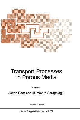 bokomslag Transport Processes in Porous Media