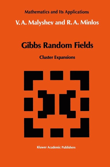 bokomslag Gibbs Random Fields