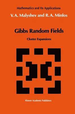 Gibbs Random Fields 1