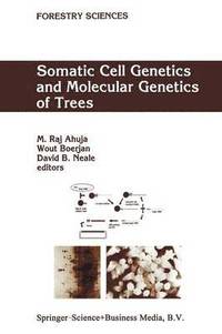 bokomslag Somatic Cell Genetics and Molecular Genetics of Trees