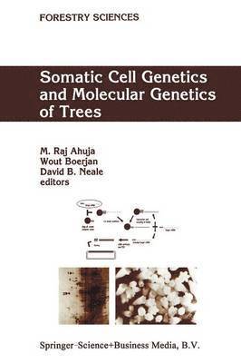 Somatic Cell Genetics and Molecular Genetics of Trees 1