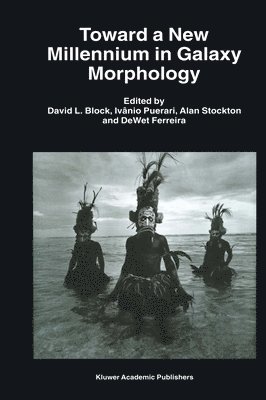 David L. Block, Ivânio Puerari, Alan Stockton, DeWet Ferreira, Dewet Ferreira - Toward a New Millennium in Galaxy Morphology, Häftad