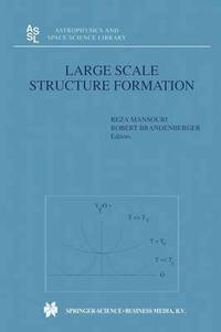 bokomslag Large Scale Structure Formation