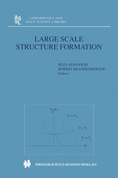 bokomslag Large Scale Structure Formation