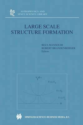 Large Scale Structure Formation 1