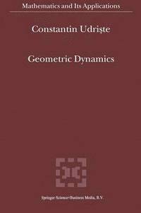 bokomslag Geometric Dynamics