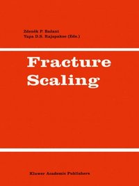 bokomslag Fracture Scaling