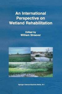 bokomslag An International Perspective on Wetland Rehabilitation