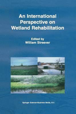 bokomslag An International Perspective on Wetland Rehabilitation