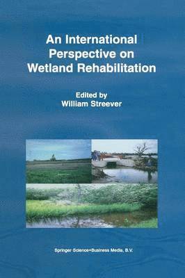 W.J. Streever, W.J. Streever, W. J. Streever - International Perspective on Wetland Rehabilitation, Häftad