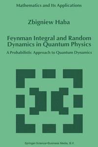 bokomslag Feynman Integral and Random Dynamics in Quantum Physics