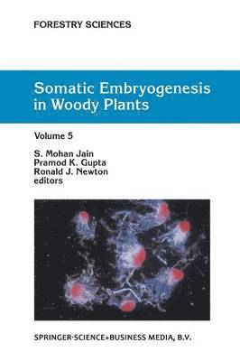 bokomslag Somatic Embryogenesis in Woody Plants