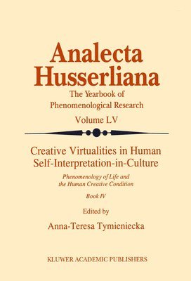 bokomslag Creative Virtualities in Human Self-Interpretation-in-Culture