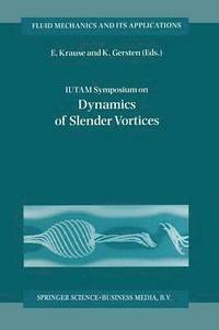 bokomslag IUTAM Symposium on Dynamics of Slender Vortices